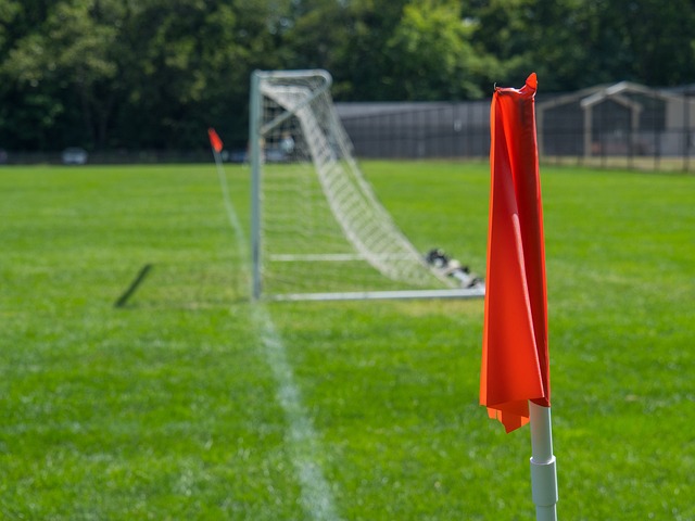 为球队带来 为球队带来