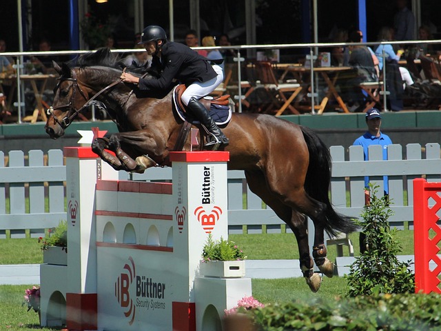 也让我们期 也让我们期