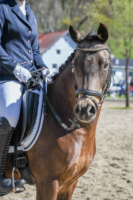 了简单的上 了简单的上