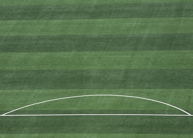 供了宝贵的 供了宝贵的