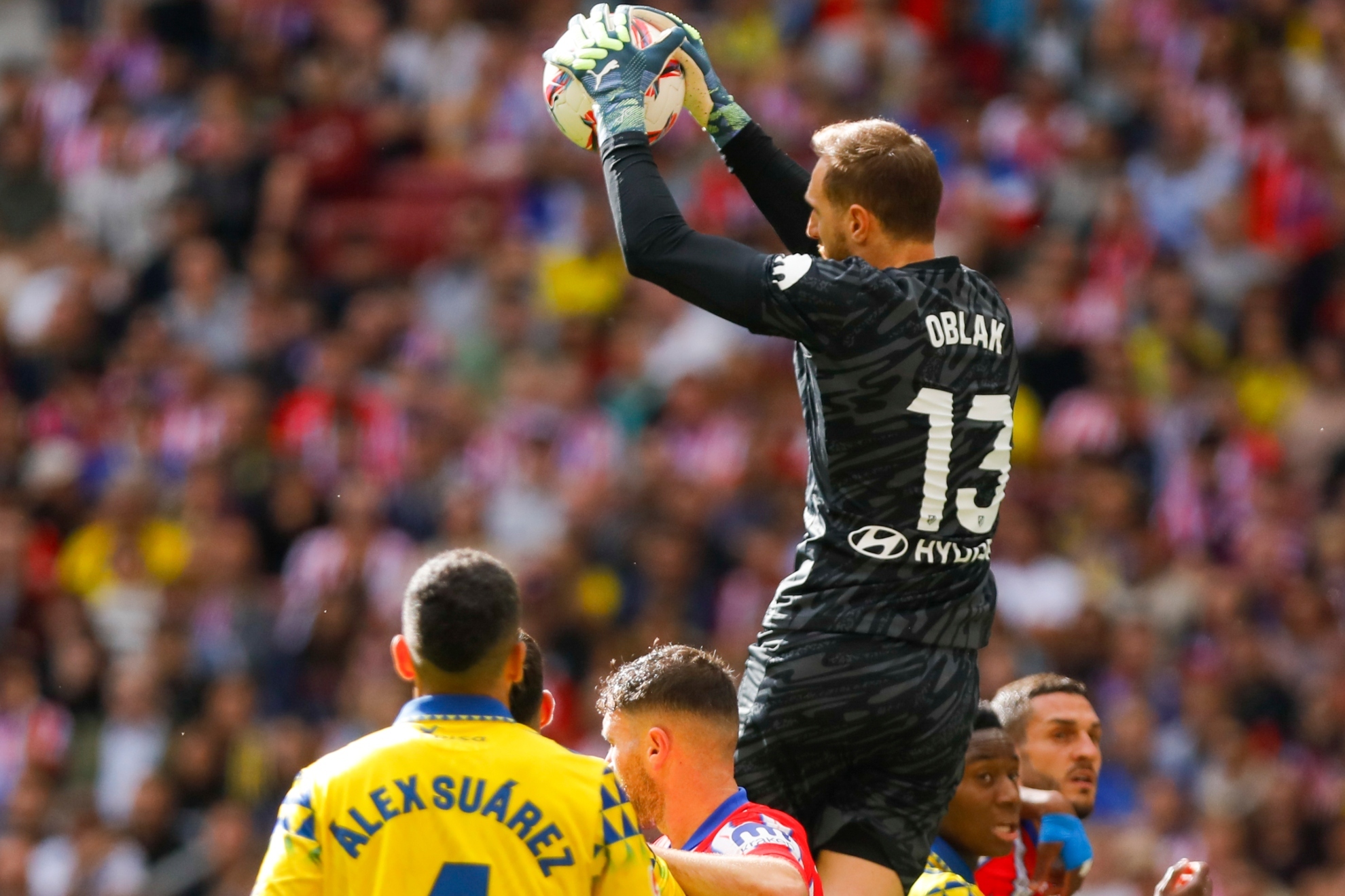 球迷的欢庆 球迷的欢庆