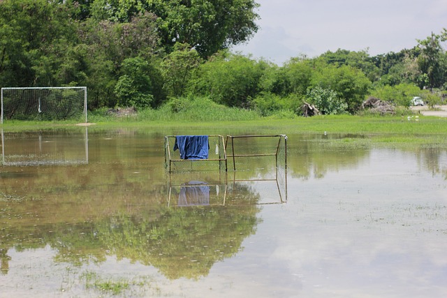 是为了球队 是为了球队