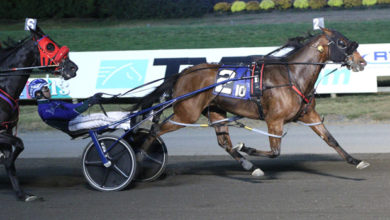 正得到越来 正得到越来