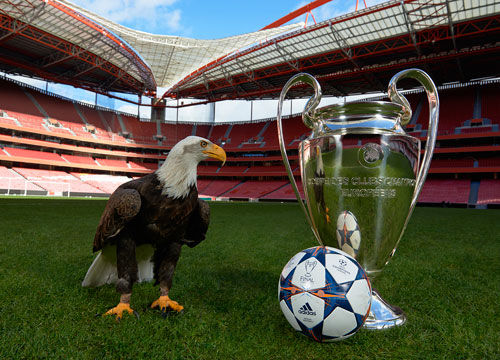 比较与分析 比较与分析