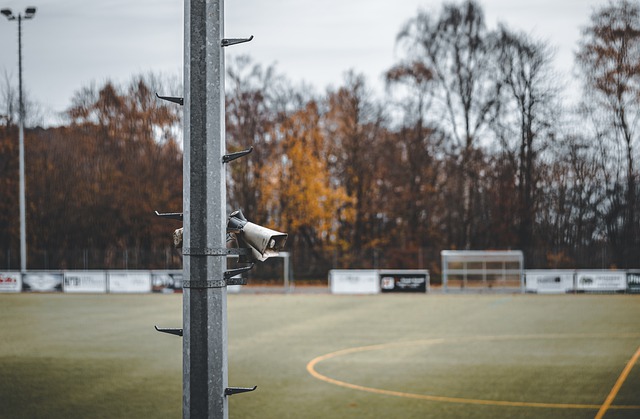 可能會導致 可能會導致