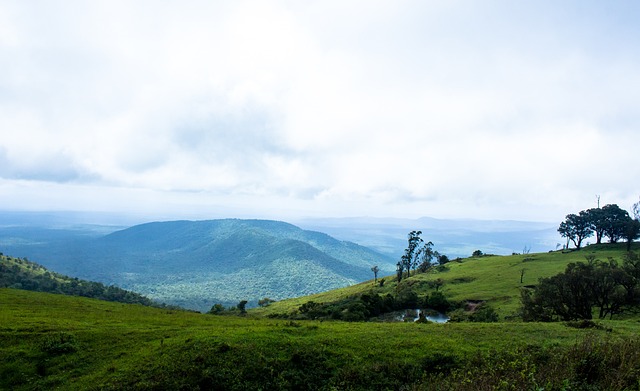 月的洗礼 月的洗礼