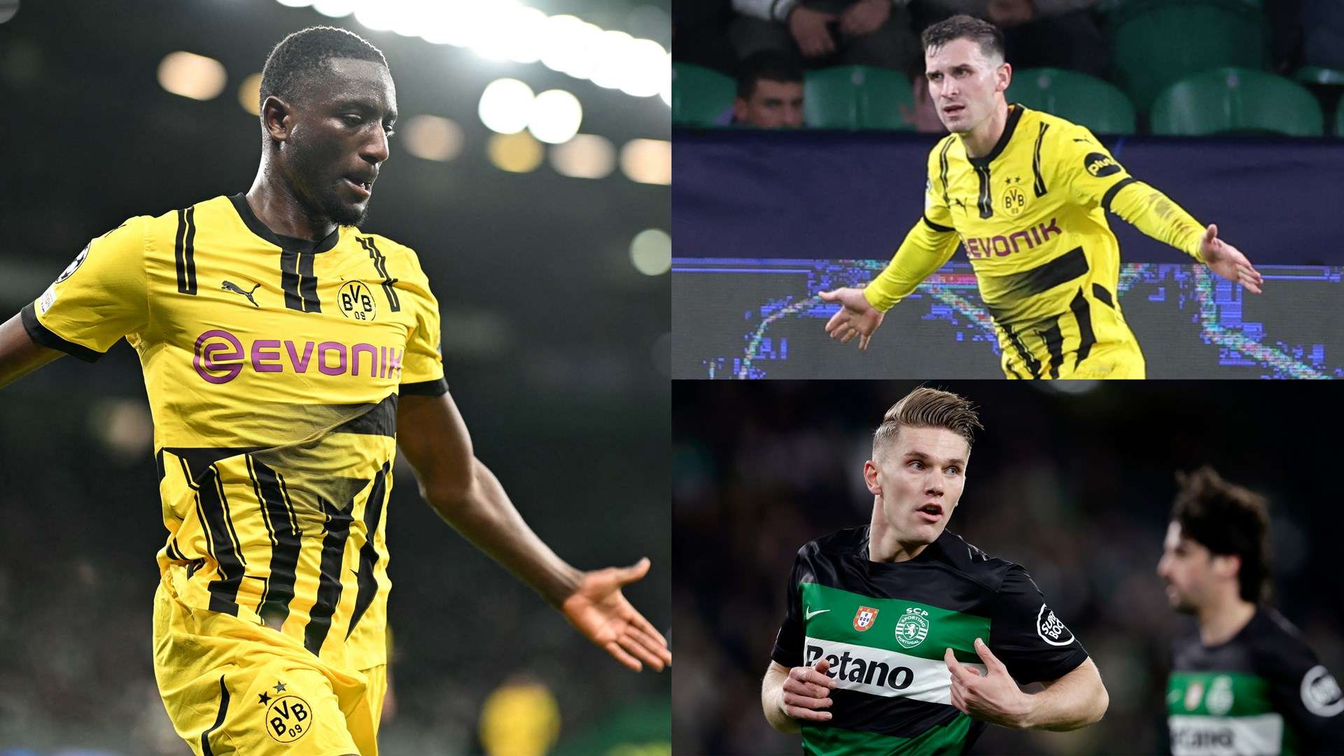 星展现了光 星展现了光