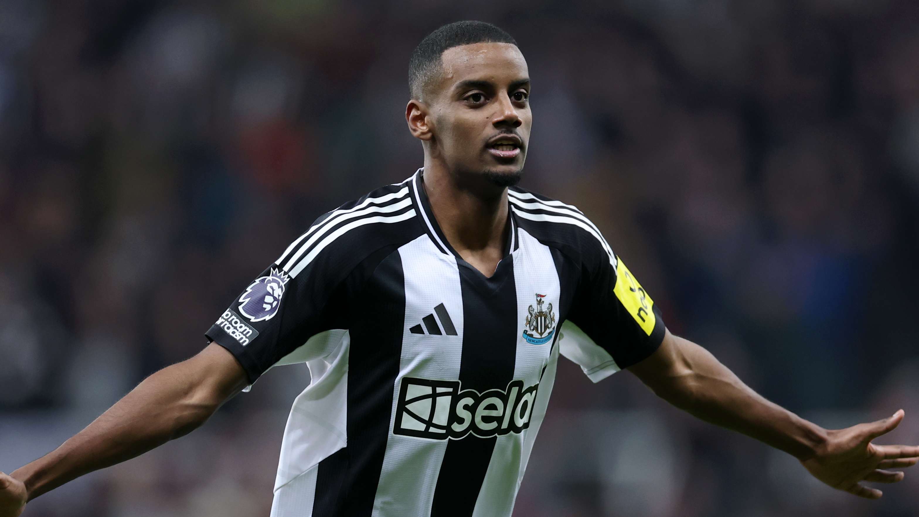 被逼到角落 被逼到角落