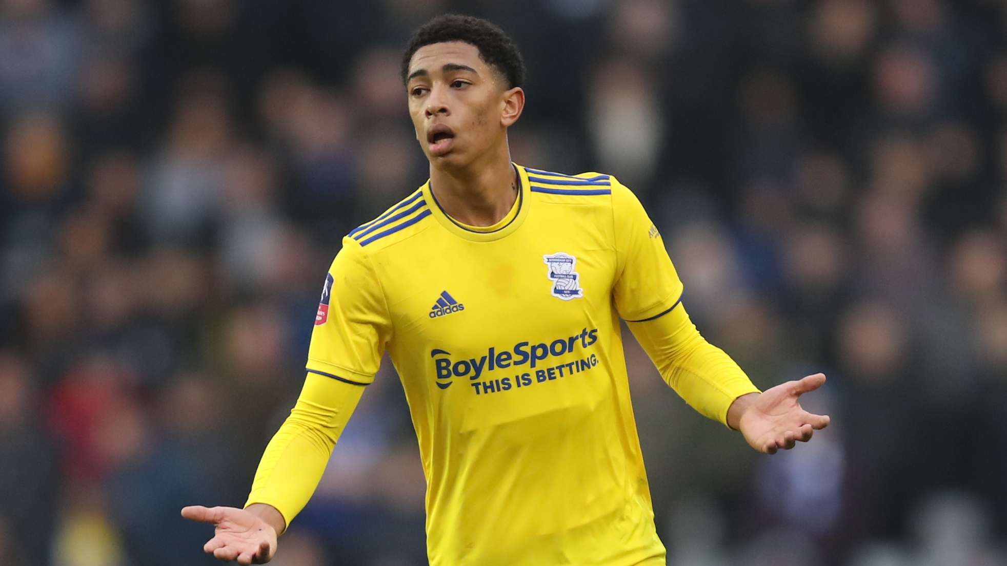 該看到的是 該看到的是